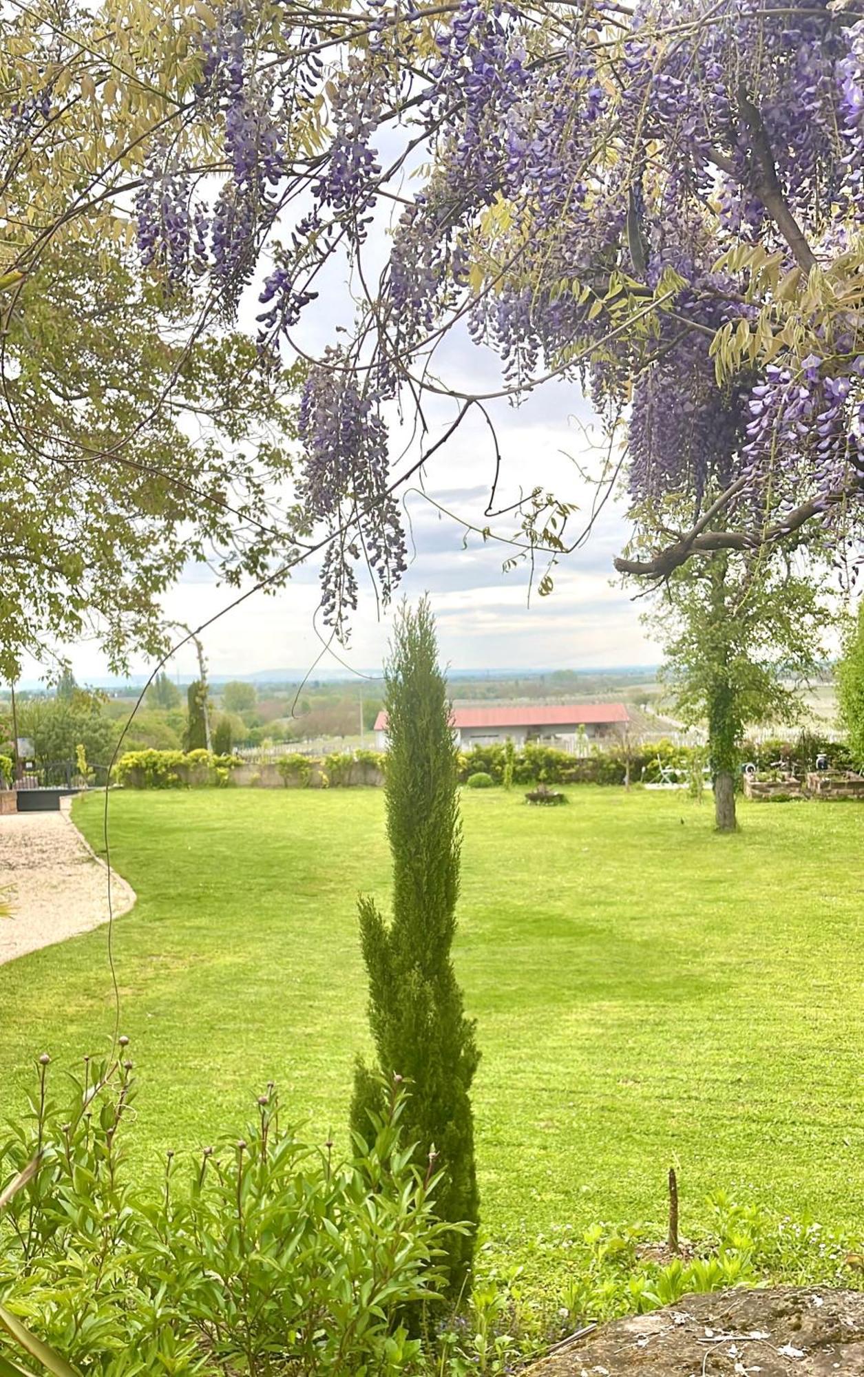 Villa Delange Landau in der Pfalz Exterior foto