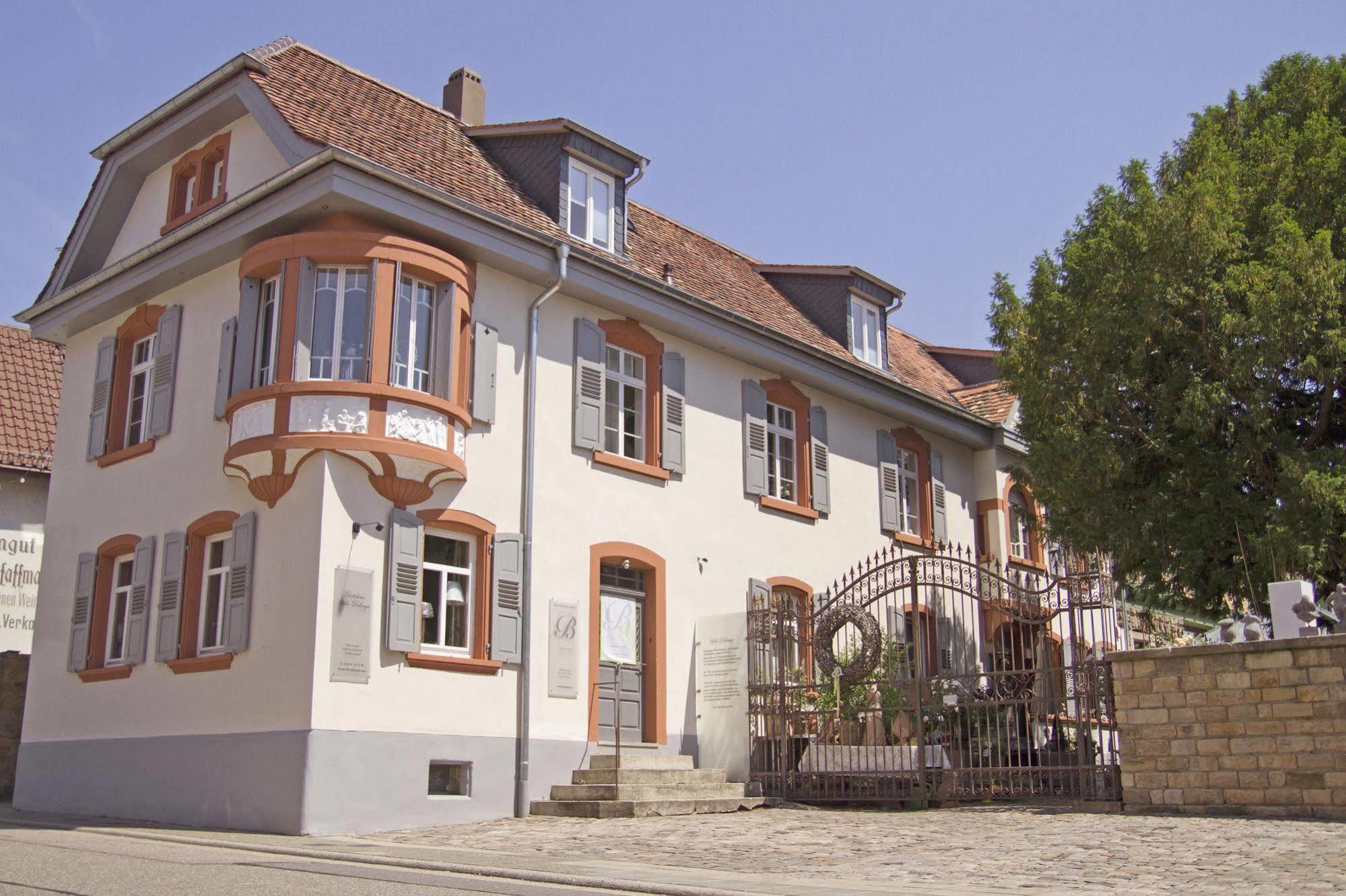 Villa Delange Landau in der Pfalz Exterior foto